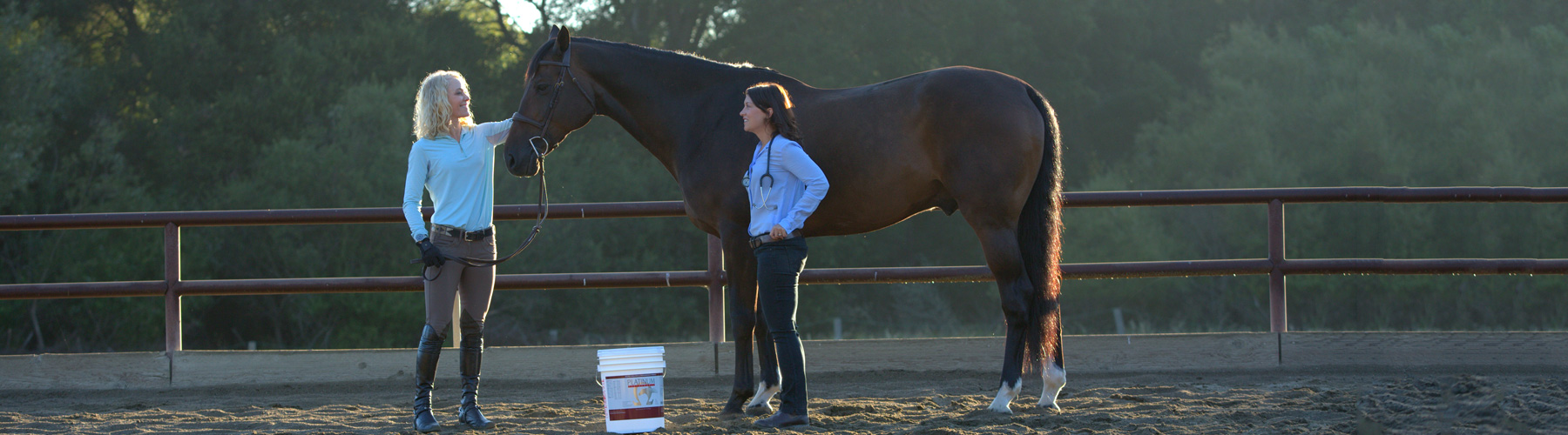 Equine Metabolic Support | Magnesium Supplements For Horses