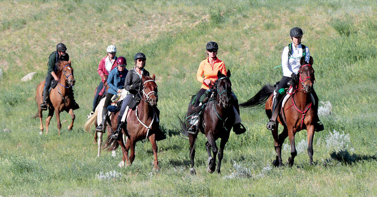 Risk Factors for Endurance Riding Eliminations – The Horse