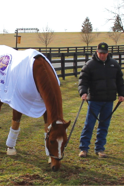 Charlie Lopresti | Wise Dan Racehorse | Platinum Performance