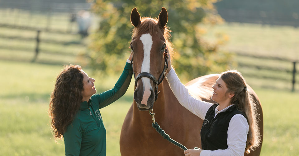 Equine Veterinarians  Veterinary-Developed Horse Supplements