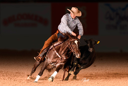 Reined Cow Horse | Performance and Recovery Support