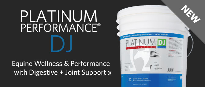 Equine Wellness & Performance with Digestive + Joint Support