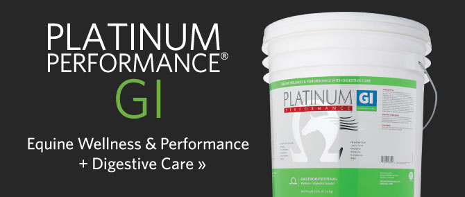 Equine Wellness & Performance with Digestive Care