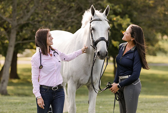 equine wellness exams