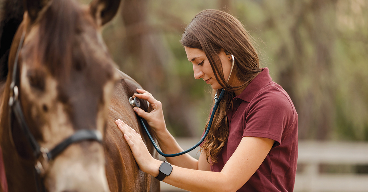 Equine Gut Health | Equine Metabolome