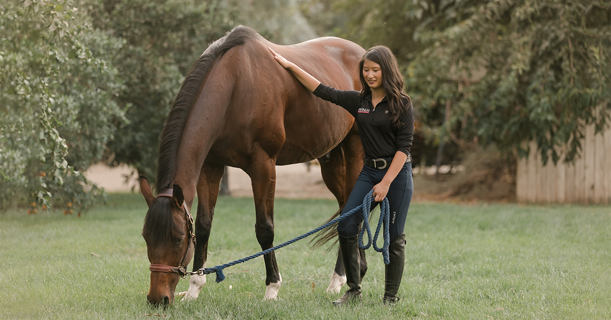 Horse Weight Gain Tips Feeding Hard Keepers