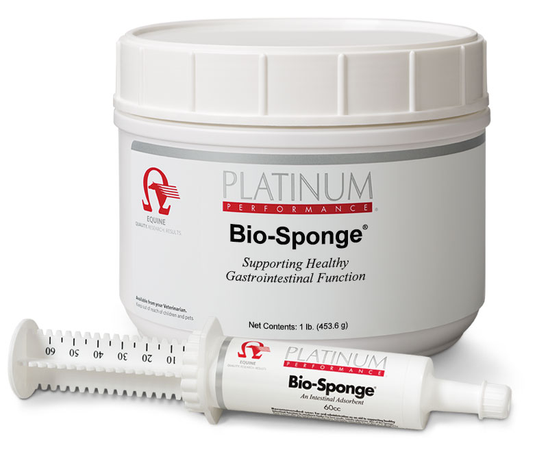 Equine BioSponge Syringe Gastrointestinal Support for Horses