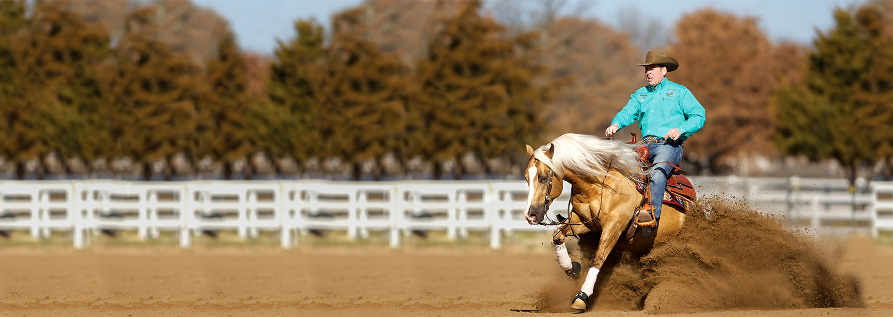 Reining Horse Health and Nutrition