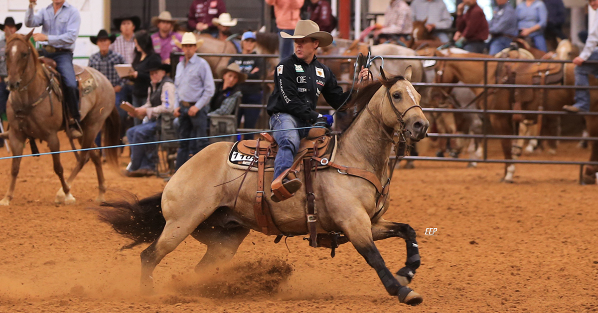 Trevor Brazile Breeding and Training Rope Horses