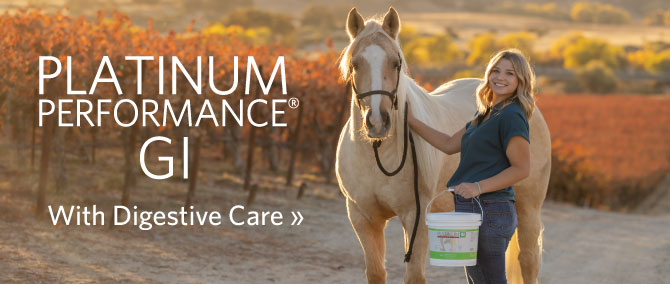 Platinum Performance GI - With Digestive Care