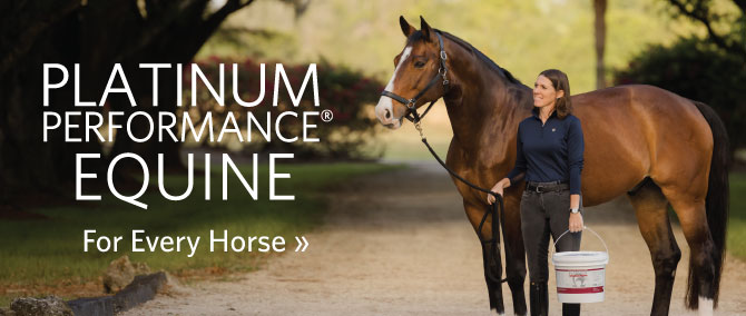 Platinum Performance Equine - For Every Horse